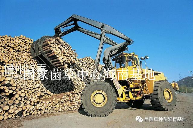 其实纸张主要是用我们常见的植物的秆茎为原料生产出来的,纸张中的
